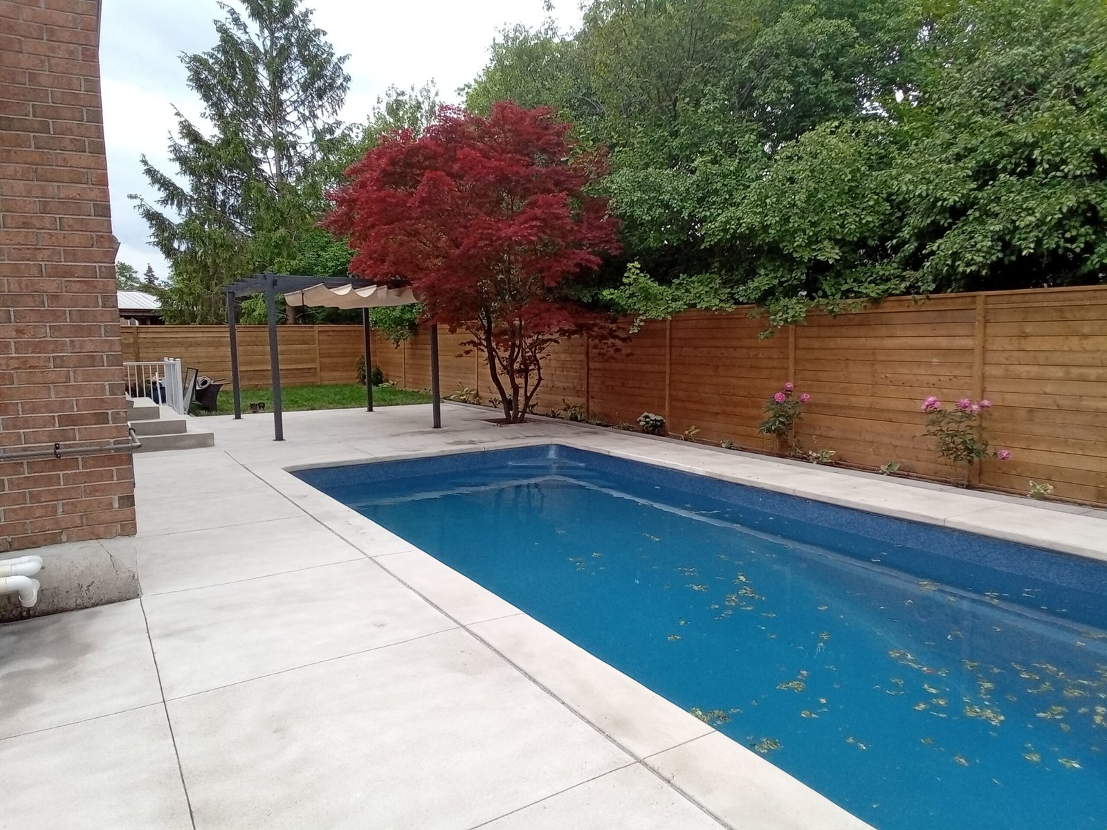Fiberglass Pools